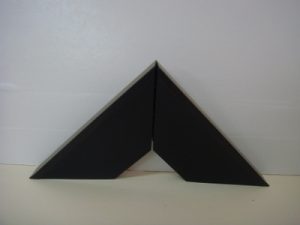 מסגרת לתמונה – אמי וונגה