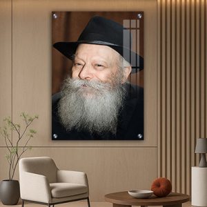 252 – תמונת פנים של הרבי מליובאוויטש מחייך