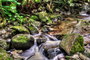 V-71 נחל זורם בטבע