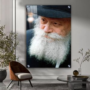 456 – תמונה של הרבי מליובאוויטש