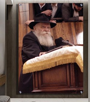 736 – תמונה של הרבי מליובאוויטש נואם