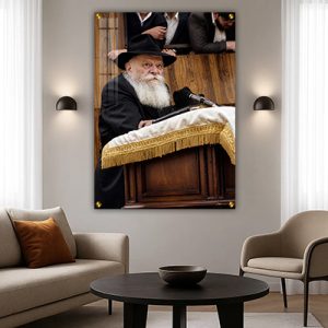 736 – תמונה של הרבי מליובאוויטש נואם