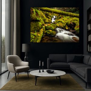 V-64 תמונת טבע עם מפל זורם לבית או למשרד