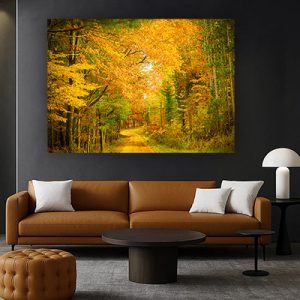 V-70 – תמונת נוף של עצים וטבע להדפסה