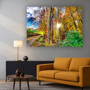 V-72 – תמונת נוף לסלון או לחדר שינה להדפסה