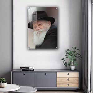 341 – תמונת דיוקן של הרבי מביט