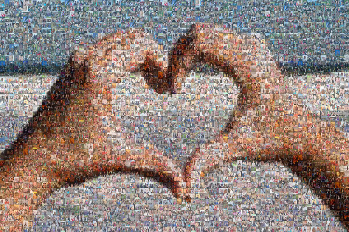 You are currently viewing בניית פסיפס תמונות