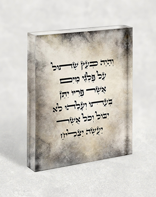 בלוק אקרילי עם הפסוק: וְהָיָה כְּעֵץ שָׁתוּל עַל פַּלְגֵי מָיִם